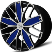 Gianna Fanatic Blue Wheels